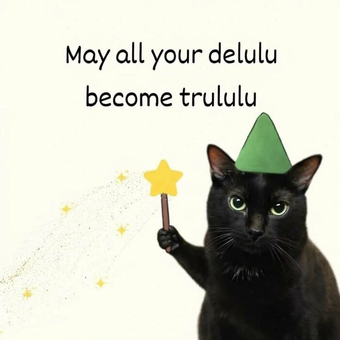 These 77 Cat Memes Are Basically Your New Happy Place