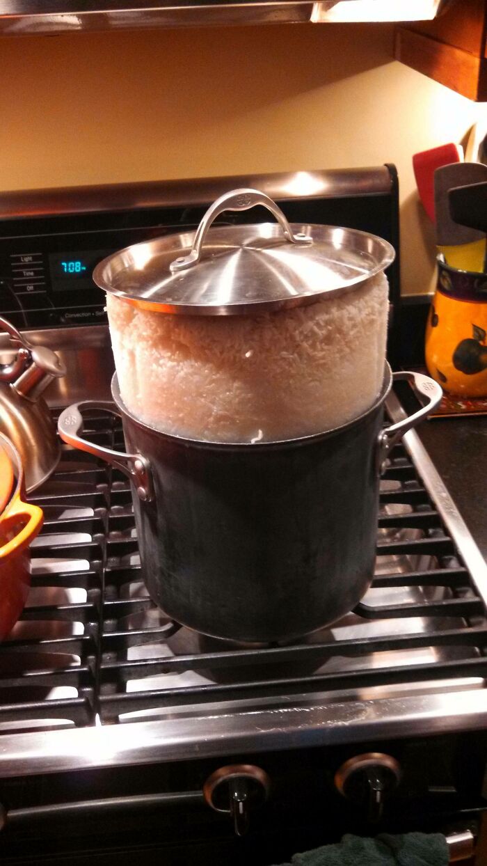 Kitchen Nightmares: 73 Epic Food Fails That’ll Have You Laughing and Cringing