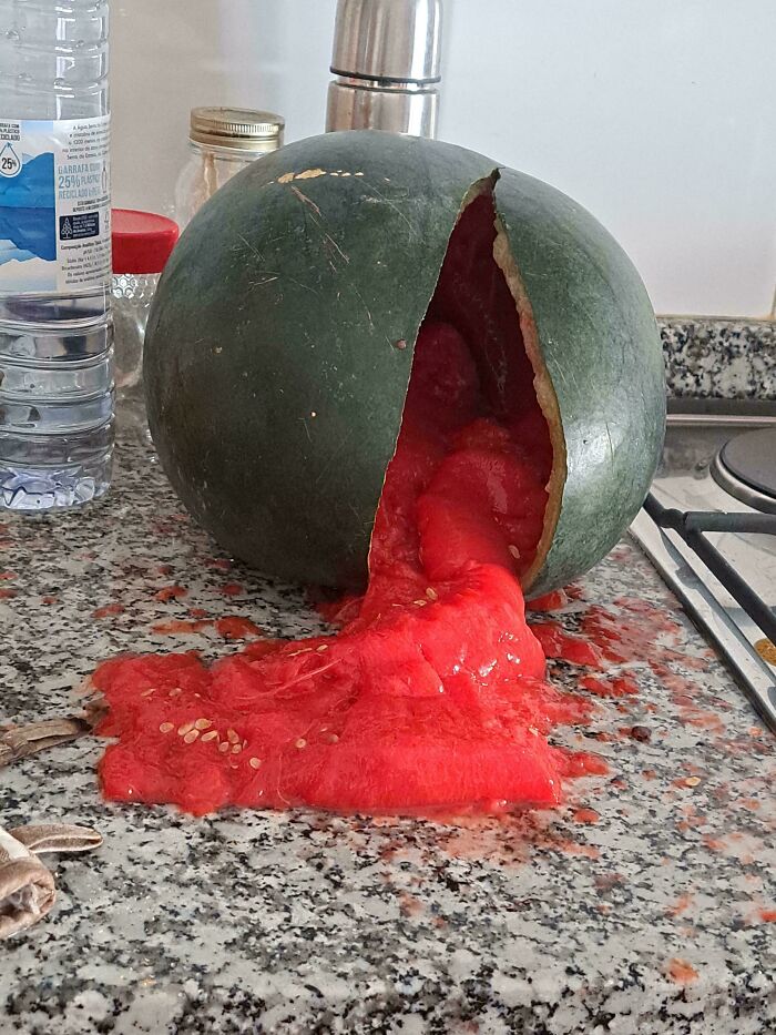 Kitchen Nightmares: 73 Epic Food Fails That’ll Have You Laughing and Cringing