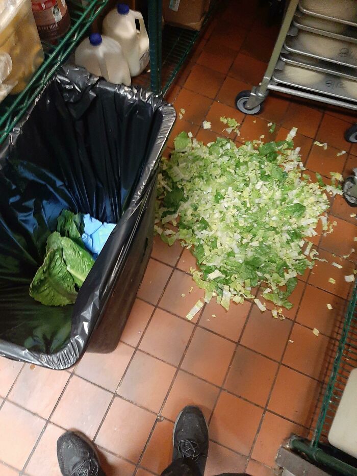 Kitchen Nightmares: 73 Epic Food Fails That’ll Have You Laughing and Cringing