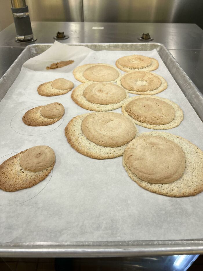 Kitchen Nightmares: 73 Epic Food Fails That’ll Have You Laughing and Cringing