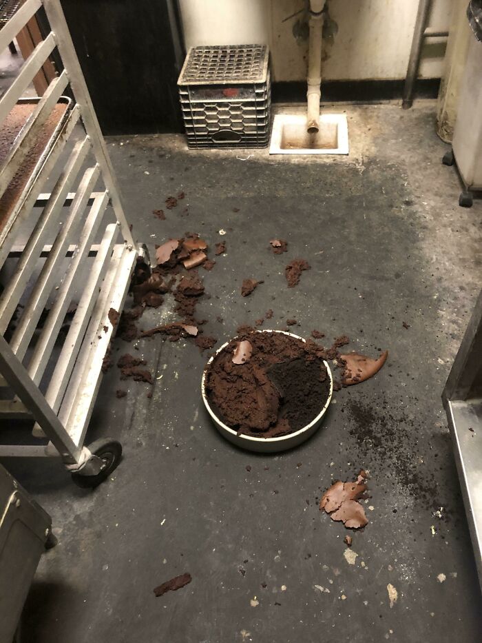 Kitchen Nightmares: 73 Epic Food Fails That’ll Have You Laughing and Cringing