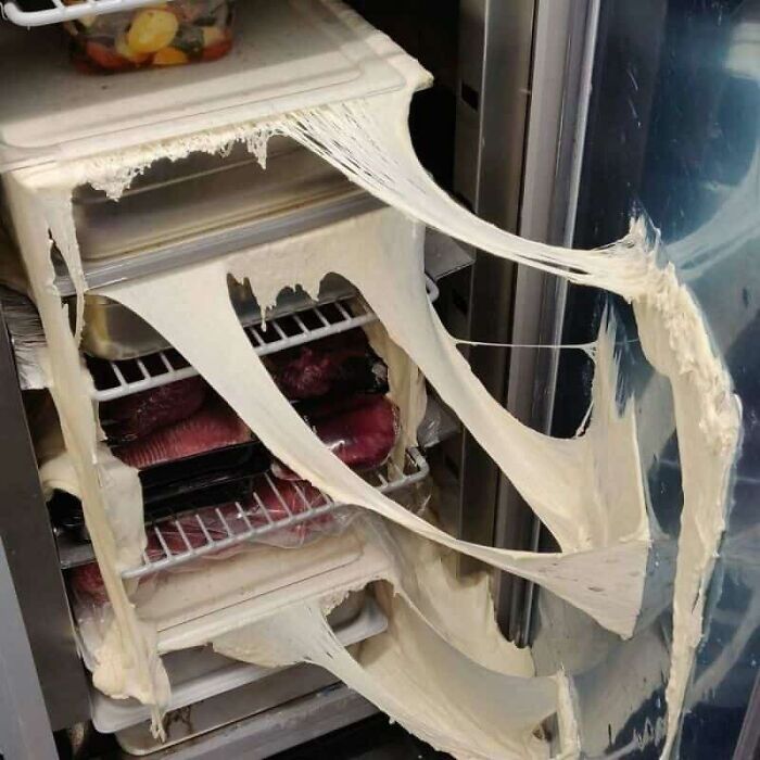 Kitchen Nightmares: 73 Epic Food Fails That’ll Have You Laughing and Cringing