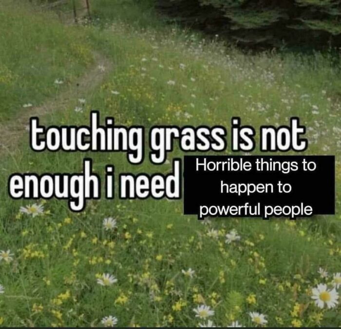 Let’s Scroll Through 44 Memes That Nail Life Way Too Perfectly