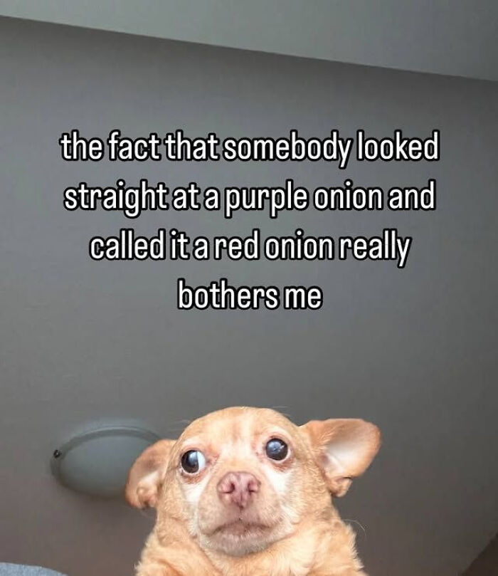 Let’s Scroll Through 44 Memes That Nail Life Way Too Perfectly
