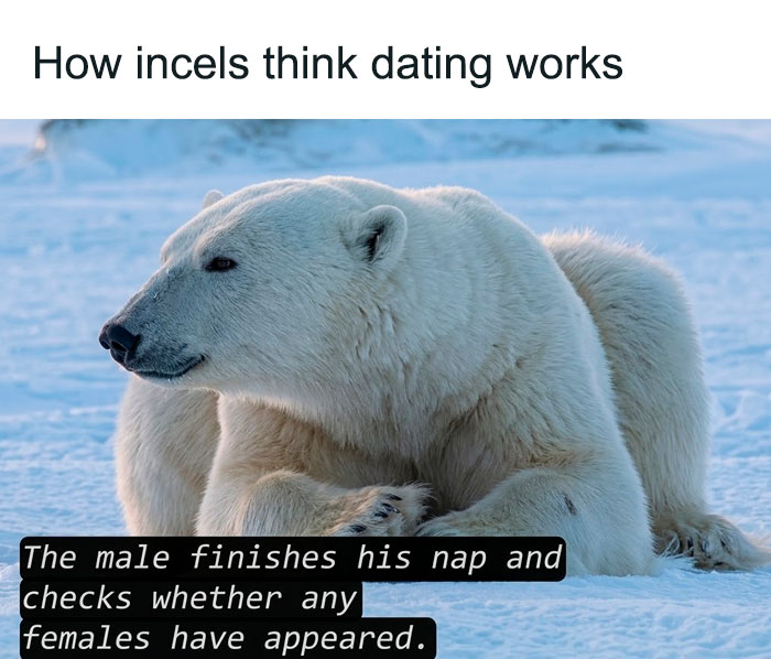 These Memes Say "Absolutely Not Me" But We Totally Get Them