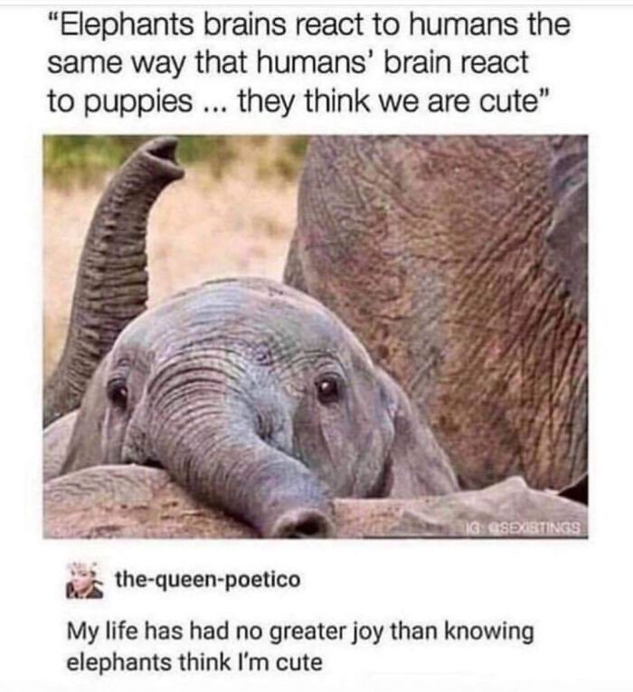 These Memes Say "Absolutely Not Me" But We Totally Get Them