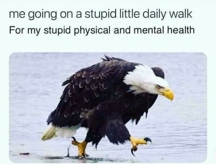 These Memes Say "Absolutely Not Me" But We Totally Get Them