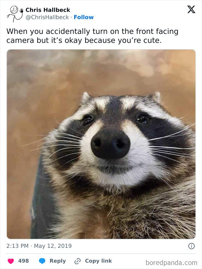 These Memes Say "Absolutely Not Me" But We Totally Get Them