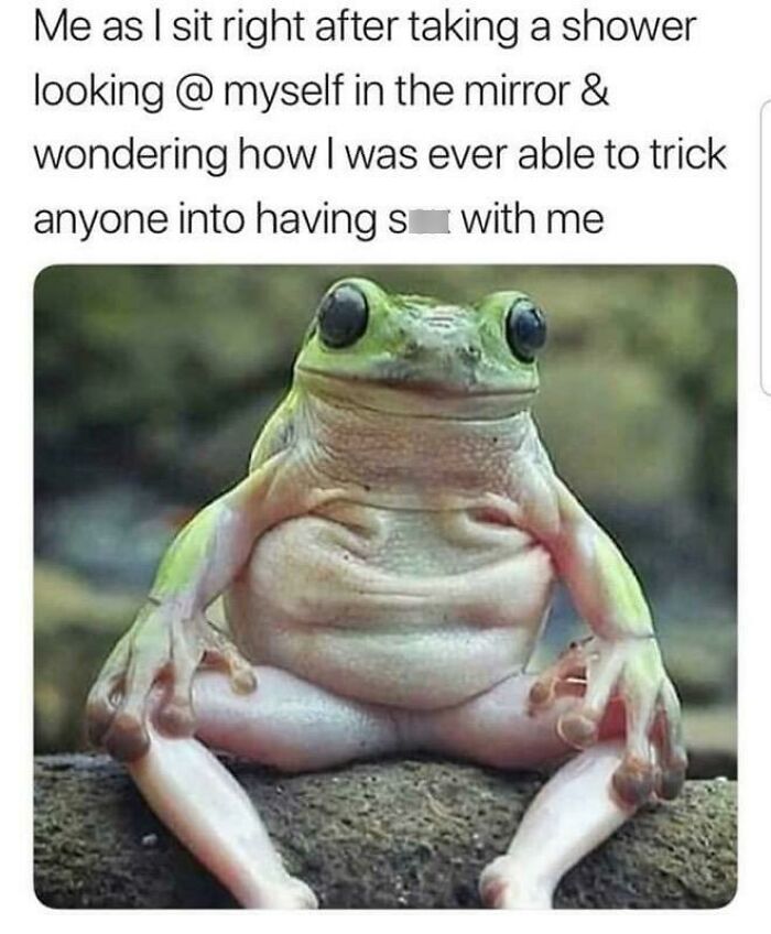 These Memes Say "Absolutely Not Me" But We Totally Get Them