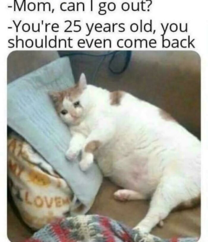 These Memes Say "Absolutely Not Me" But We Totally Get Them