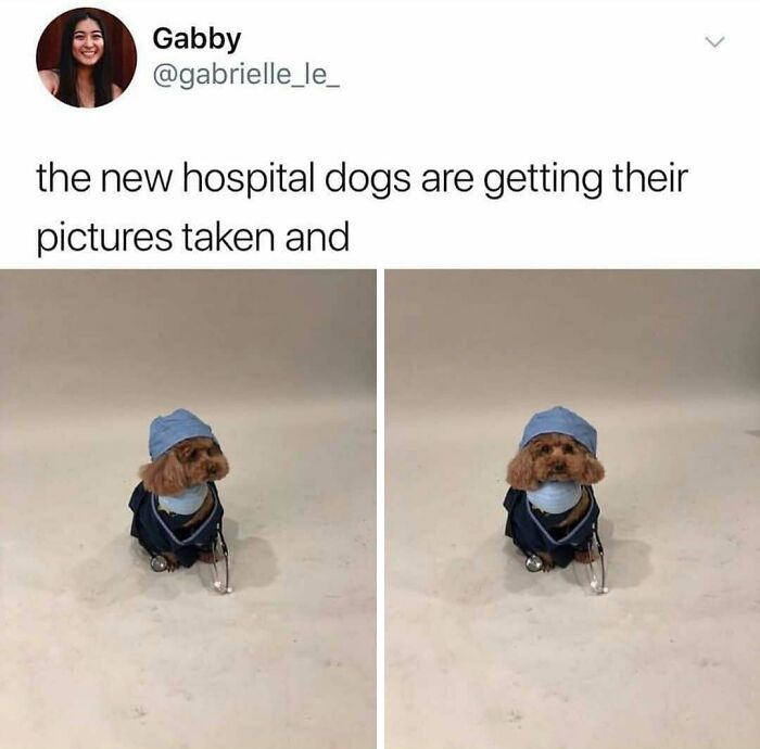The Funniest Doctor Memes That Will Totally Crack You Up