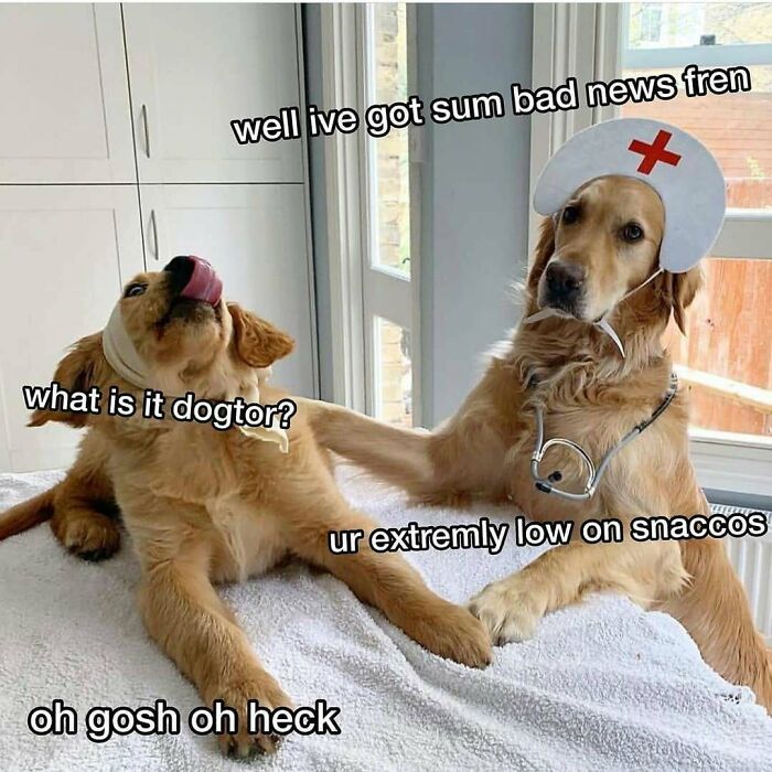 The Funniest Doctor Memes That Will Totally Crack You Up