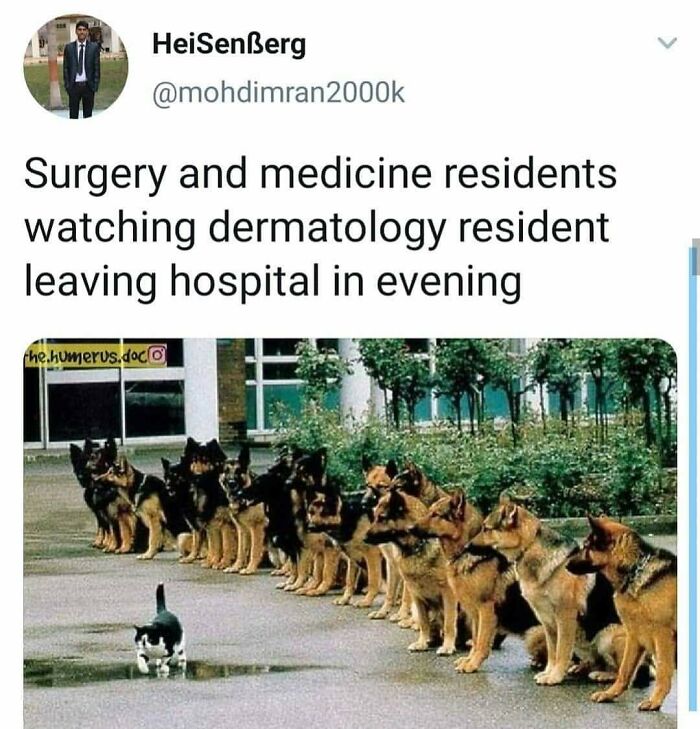 The Funniest Doctor Memes That Will Totally Crack You Up