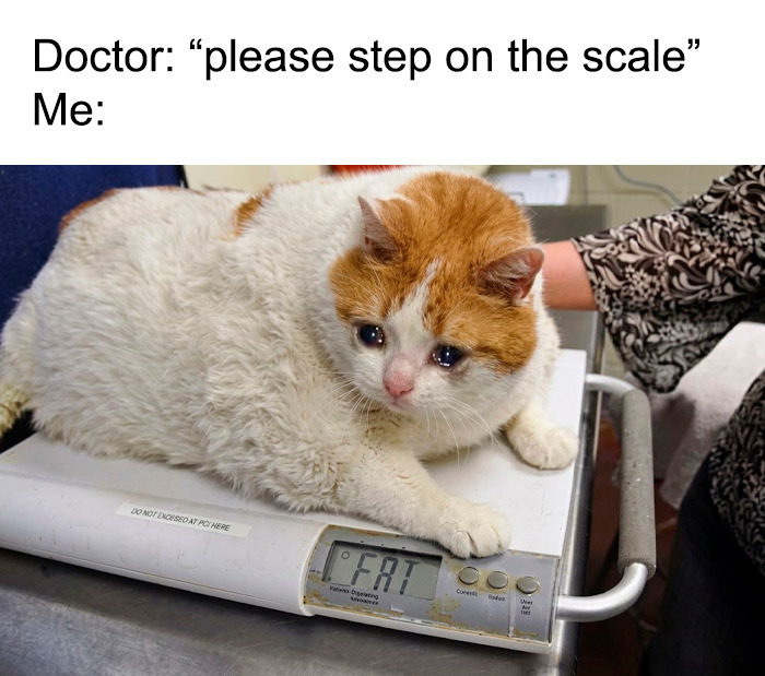 The Funniest Doctor Memes That Will Totally Crack You Up