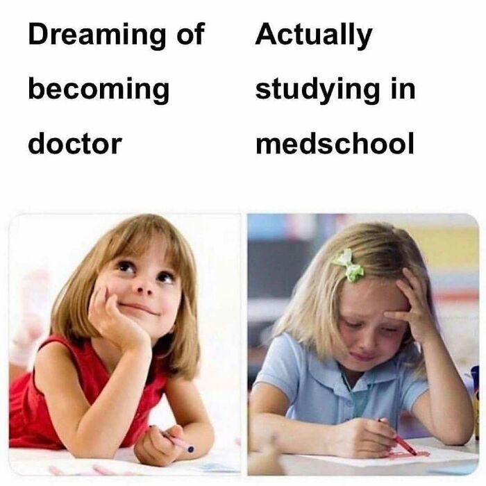 The Funniest Doctor Memes That Will Totally Crack You Up