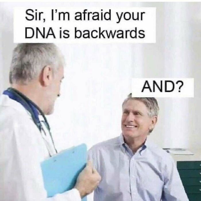 The Funniest Doctor Memes That Will Totally Crack You Up
