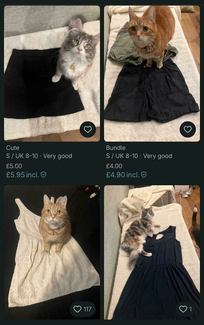 I Mention I Have Cats, But This Seller Didn’t Even Need To!
