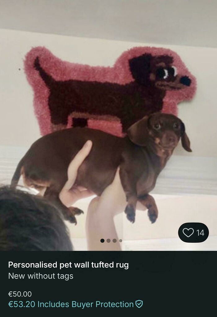 The Best Thing I’ve Seen On Vinted So Far