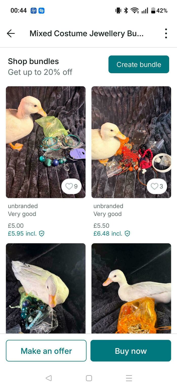 Pet Duck Making A Cameo In Photos