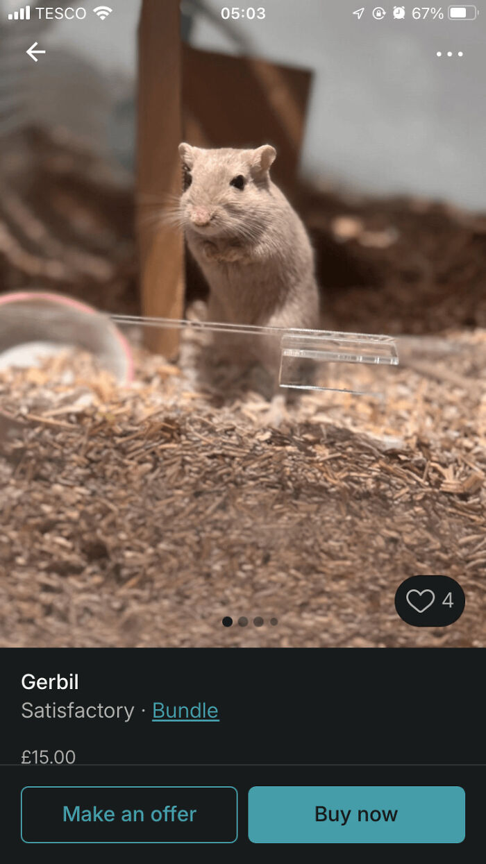 Please Don’t Sell Your Pets On Vinted!