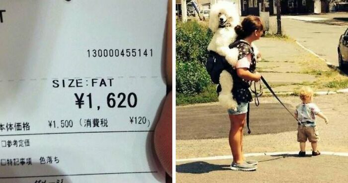 You Had One Job! These Fails Are So Bad They’re Hilarious