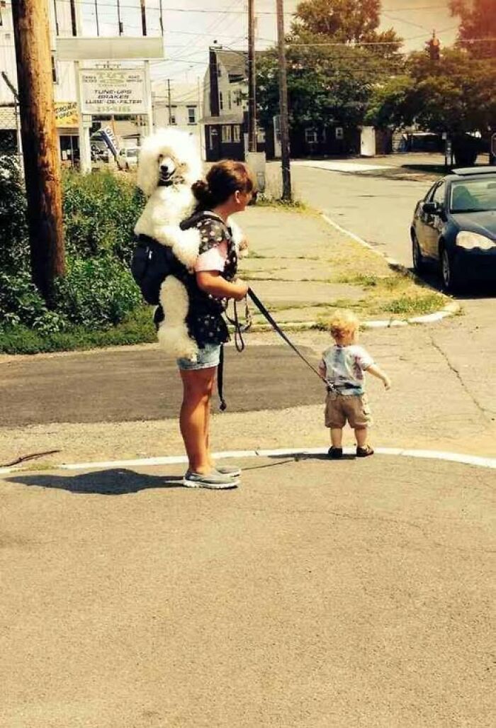 Babysitter, We Need to Talk About Your Job