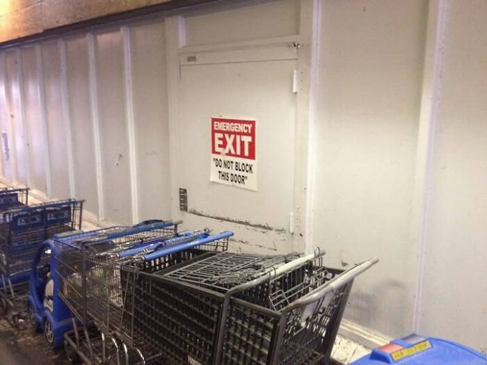 Just Leave the Trolleys There, No Biggie