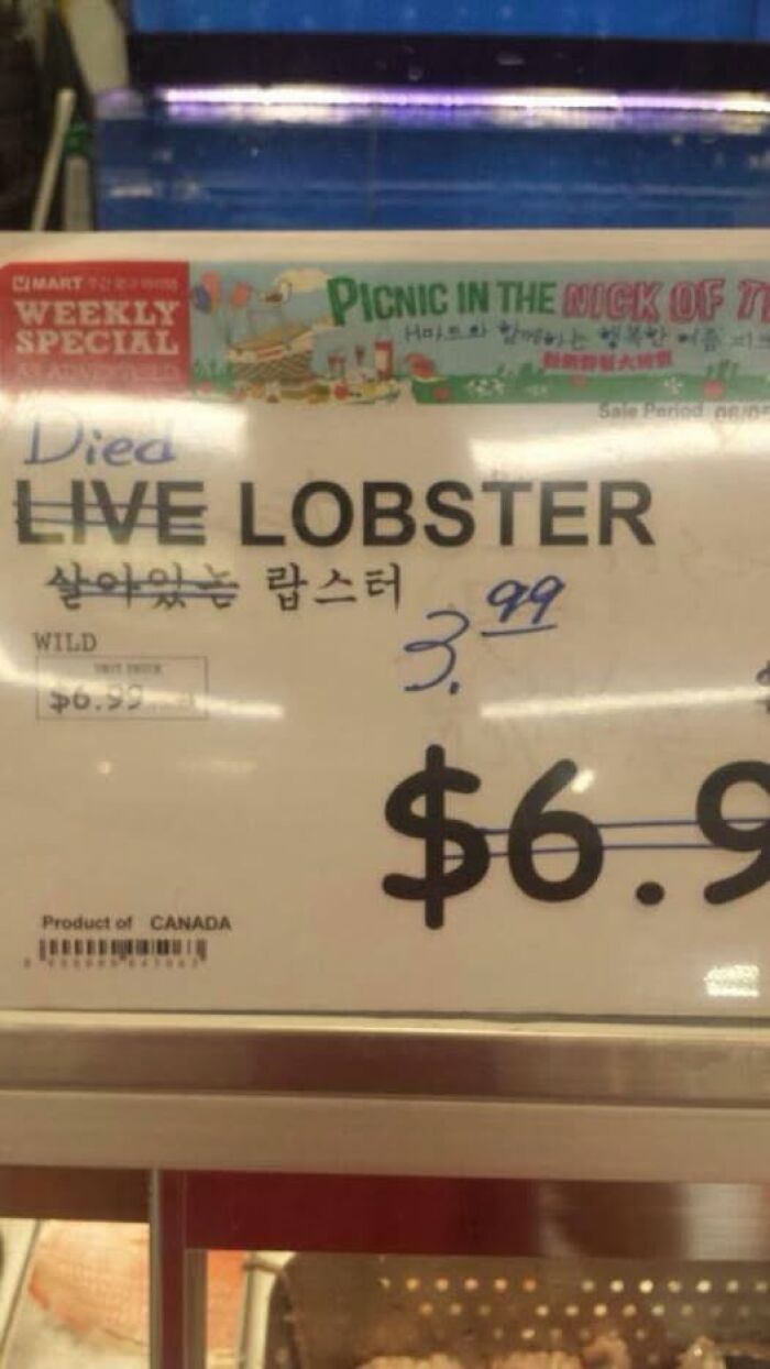 Oops! What Happened? At Least There’s a Discount