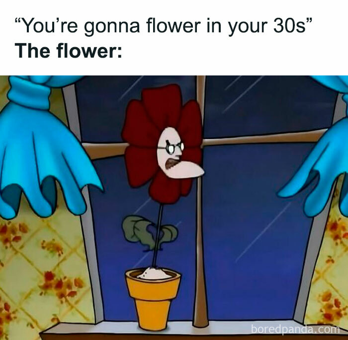 Get Ready to Laugh and Remember: 65 Totally Nostalgic '90s Memes!