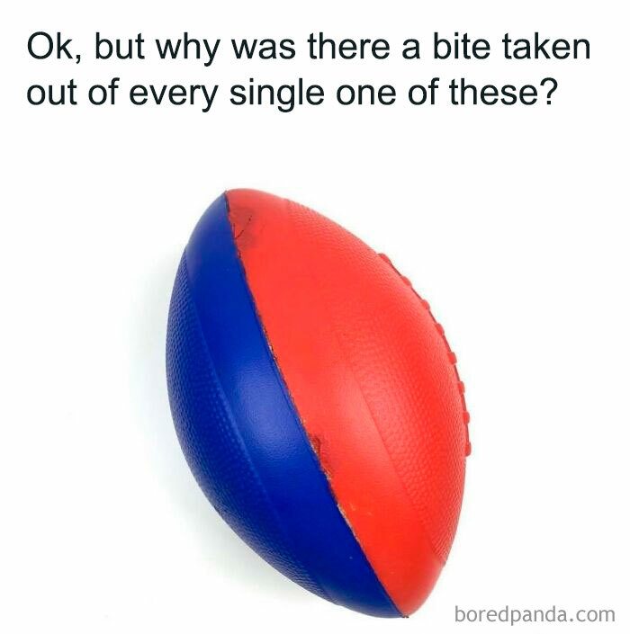 Get Ready to Laugh and Remember: 65 Totally Nostalgic '90s Memes!