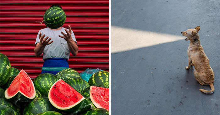 23 Street Photos That Surprise You In The Best Way Possible