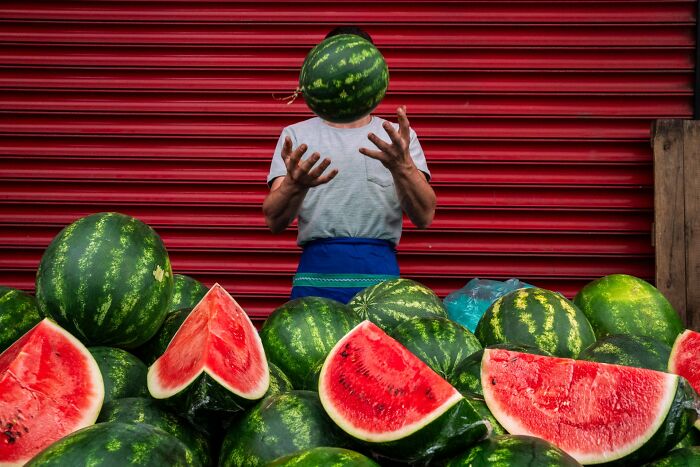 Melonhead Keeps It Cool
