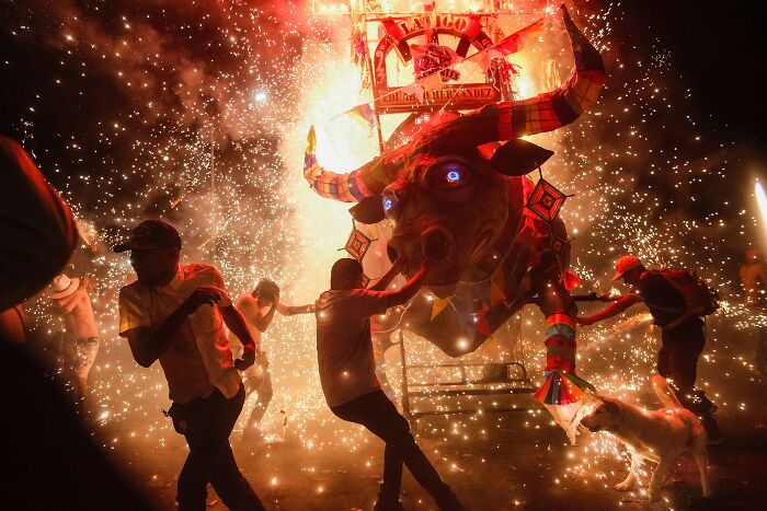Firebull Chaos That’s Wild AF