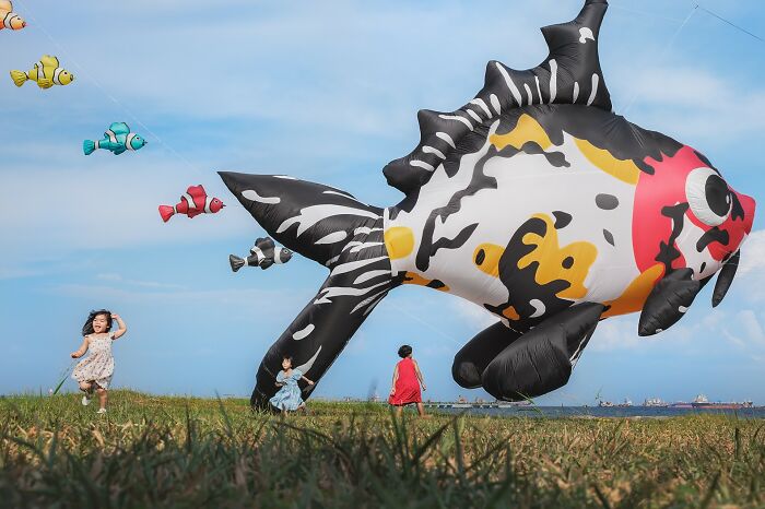 Giant Fish Kites and Tiny Kids