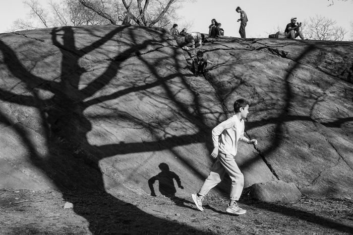 Central Park’s Shadow Play