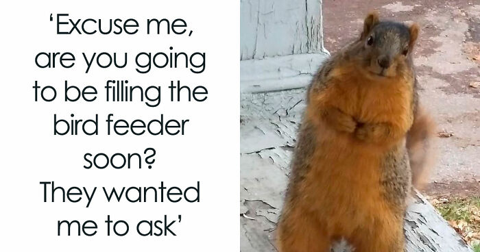 The Funniest Animal Memes That’ll Totally Make Your Day