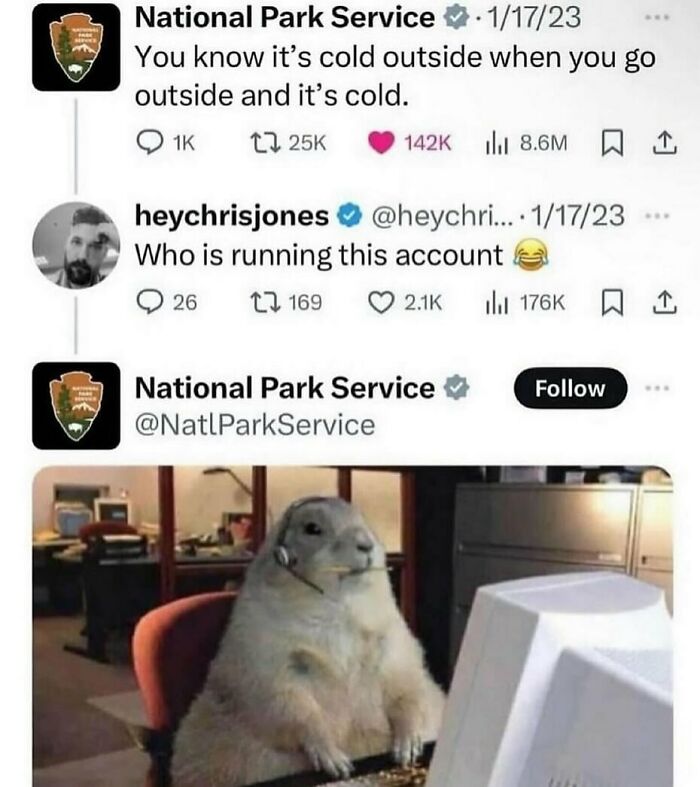 The Funniest Animal Memes That'll Totally Make Your Day