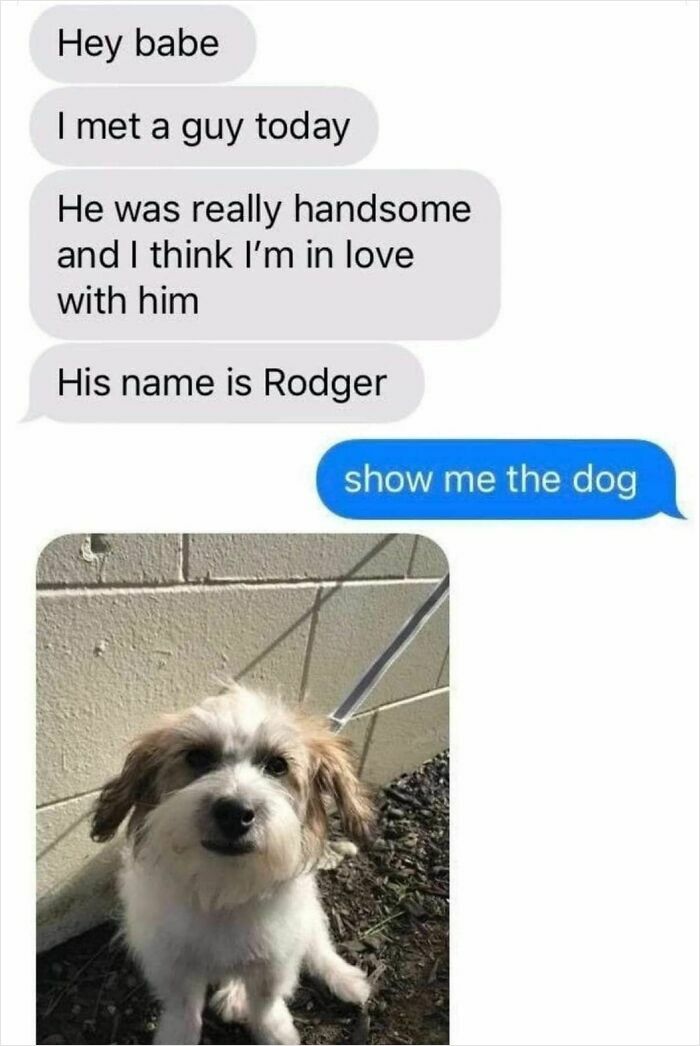 The Funniest Animal Memes That'll Totally Make Your Day