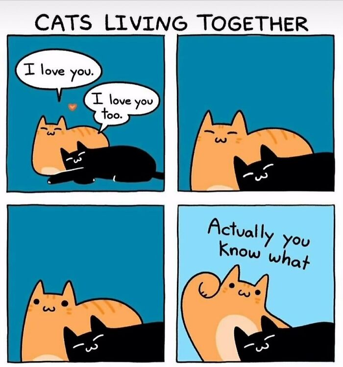 The Funniest Animal Memes That'll Totally Make Your Day