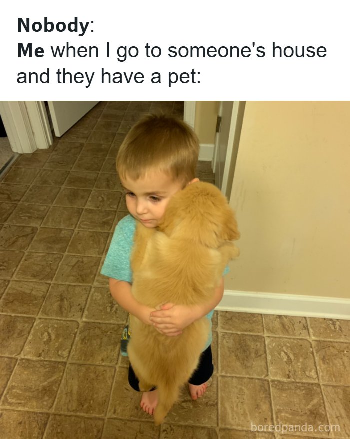 The Funniest Animal Memes That'll Totally Make Your Day