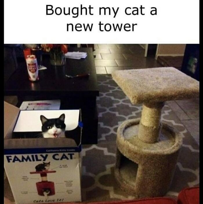 The Funniest Animal Memes That'll Totally Make Your Day