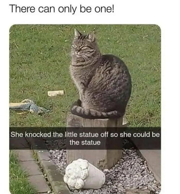 The Funniest Animal Memes That'll Totally Make Your Day