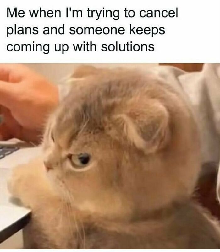 The Funniest Animal Memes That'll Totally Make Your Day
