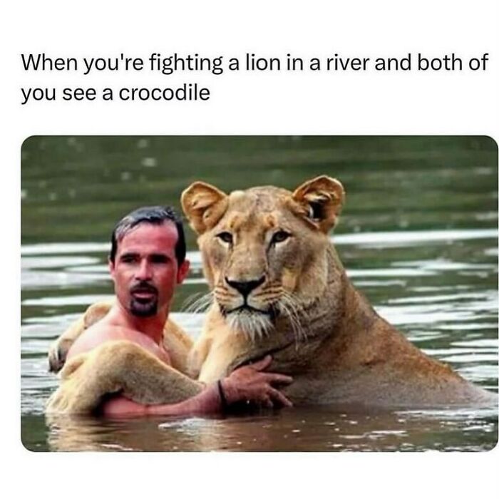 The Funniest Animal Memes That'll Totally Make Your Day