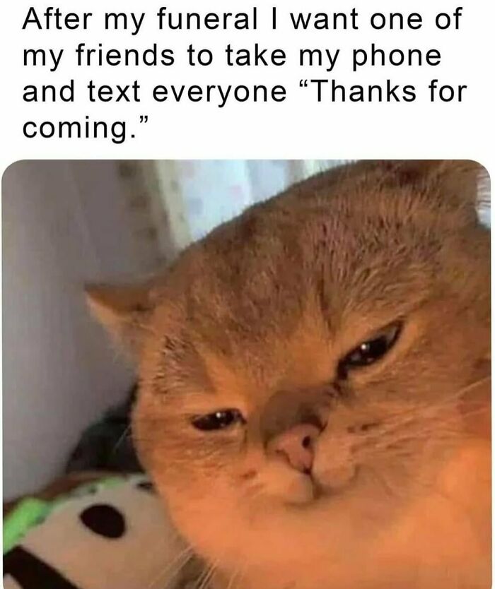 The Funniest Animal Memes That'll Totally Make Your Day