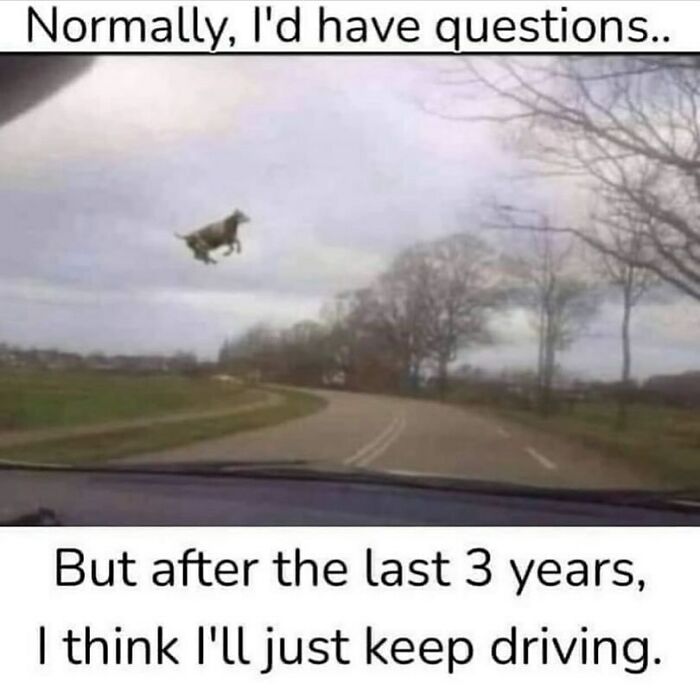 The Funniest Animal Memes That'll Totally Make Your Day