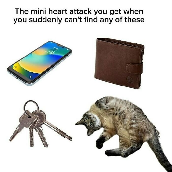 The Funniest Animal Memes That'll Totally Make Your Day