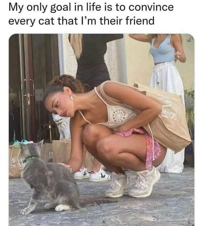 The Funniest Animal Memes That'll Totally Make Your Day