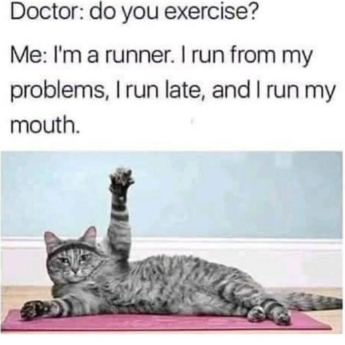The Funniest Animal Memes That'll Totally Make Your Day